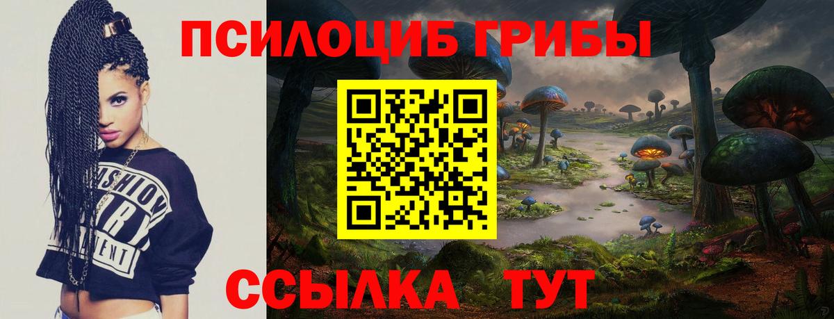 Галлюциногенные грибы Magic Shrooms  Вход с VPN  Домодедово  Псилоцибиновые грибы Psilocybine cubensis 