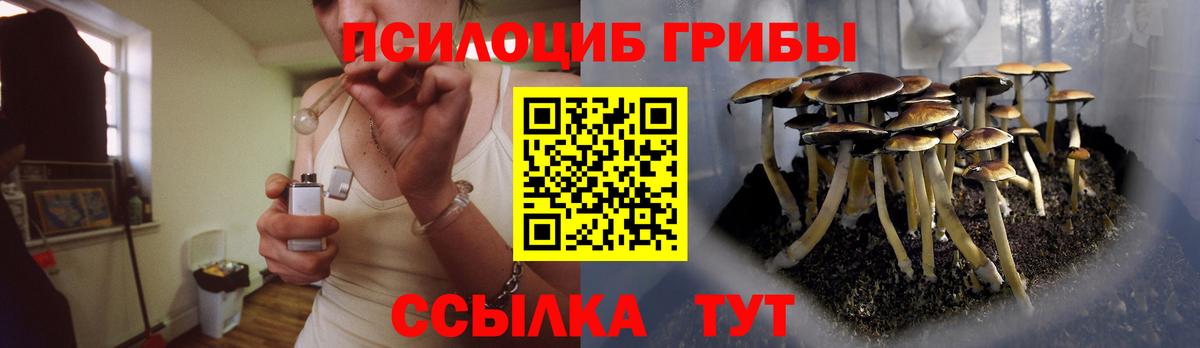 Псилоцибиновые грибы Magic Shrooms Домодедово